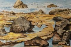 Daisy Rock, Hopeman Scotland