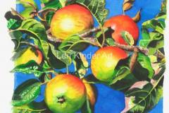 Cheshire Apples