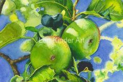 Chilworth Apples