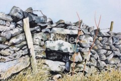 Step Stile, Monyash, Derbyshire [SOLD]