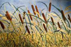 A mass of Bullrushes